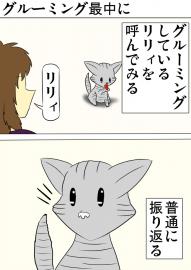 ミーのおもちゃ箱 第1270話~第1275話