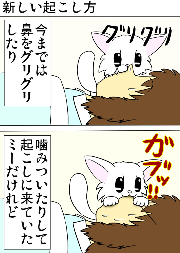 ミーのおもちゃ箱 第1318話～第1323話