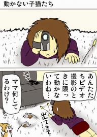 ミーのおもちゃ箱１４３話　１４４話
