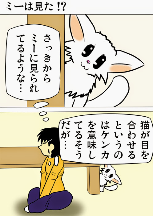 ミーのおもちゃ箱１５５話　１５６話