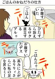 ミーのおもちゃ箱１９３話
