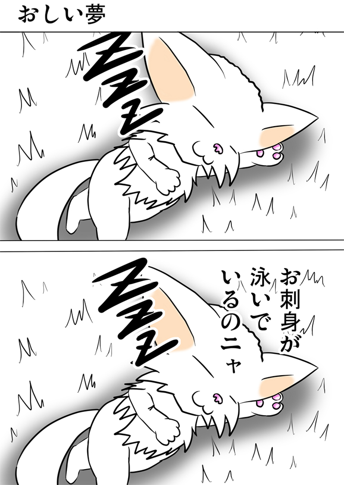 ミーのおもちゃ箱２０４話