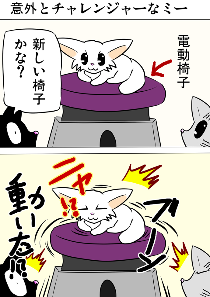 ミーのおもちゃ箱２０６話