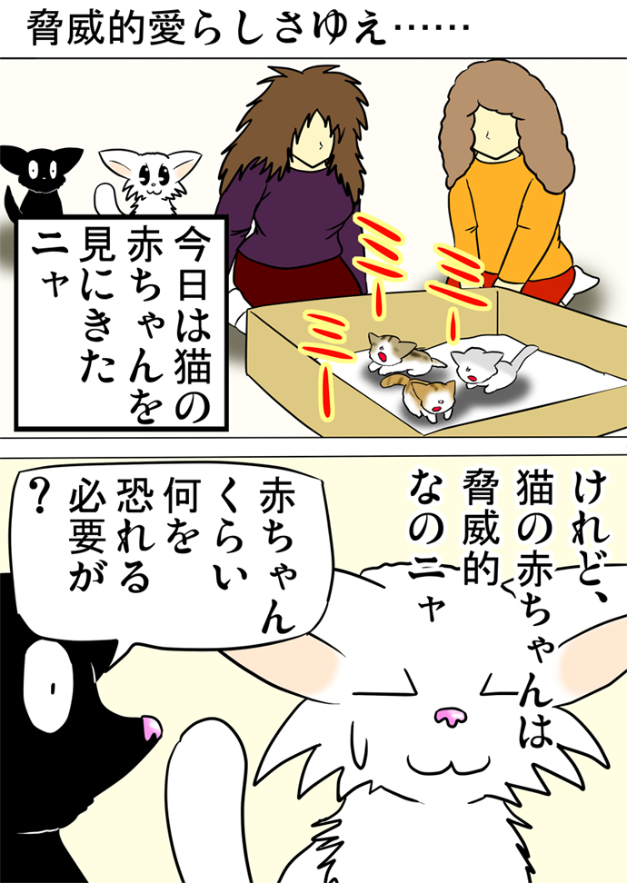 ミーのおもちゃ箱２０９話