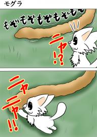 ミーのおもちゃ箱２１０話