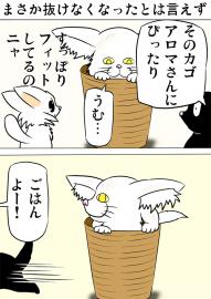 ミーのおもちゃ箱２１１話