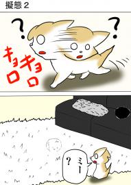 ミーのおもちゃ箱２１２話