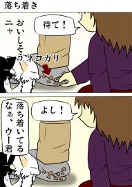 ミーのおもちゃ箱２１３話
