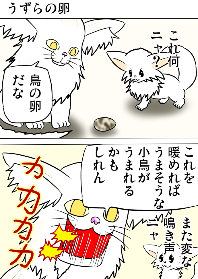 ミーのおもちゃ箱２１５話
