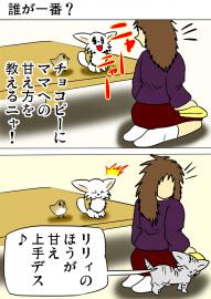 ミーのおもちゃ箱２２１話