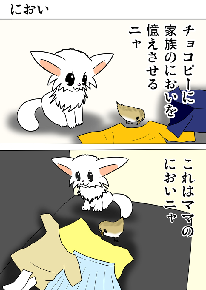 ミーのおもちゃ箱２２４話