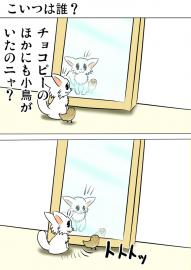 ミーのおもちゃ箱２２６話
