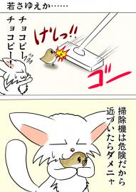 ミーのおもちゃ箱２２８話