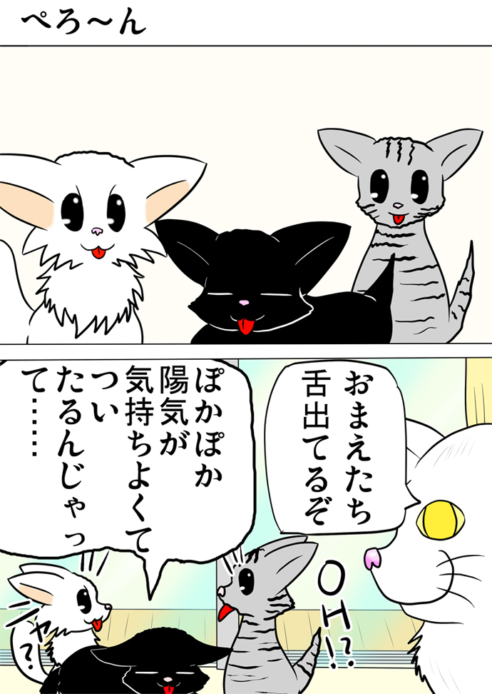 ミーのおもちゃ箱２３９話