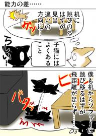 ミーのおもちゃ箱２４３話