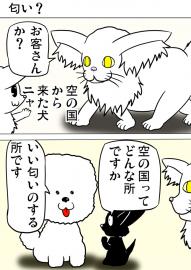 ミーのおもちゃ箱２４９話