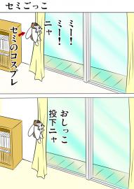 ミーのおもちゃ箱２６２話