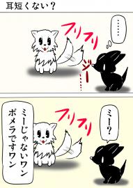 ミーのおもちゃ箱２６３話