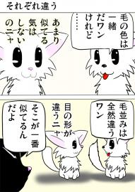 ミーのおもちゃ箱２６５話