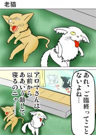 ミーのおもちゃ箱２６８話