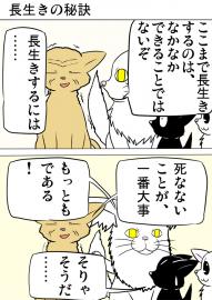 ミーのおもちゃ箱２７０話