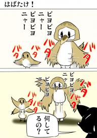 ミーのおもちゃ箱２７４話