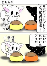 ミーのおもちゃ箱２８３話