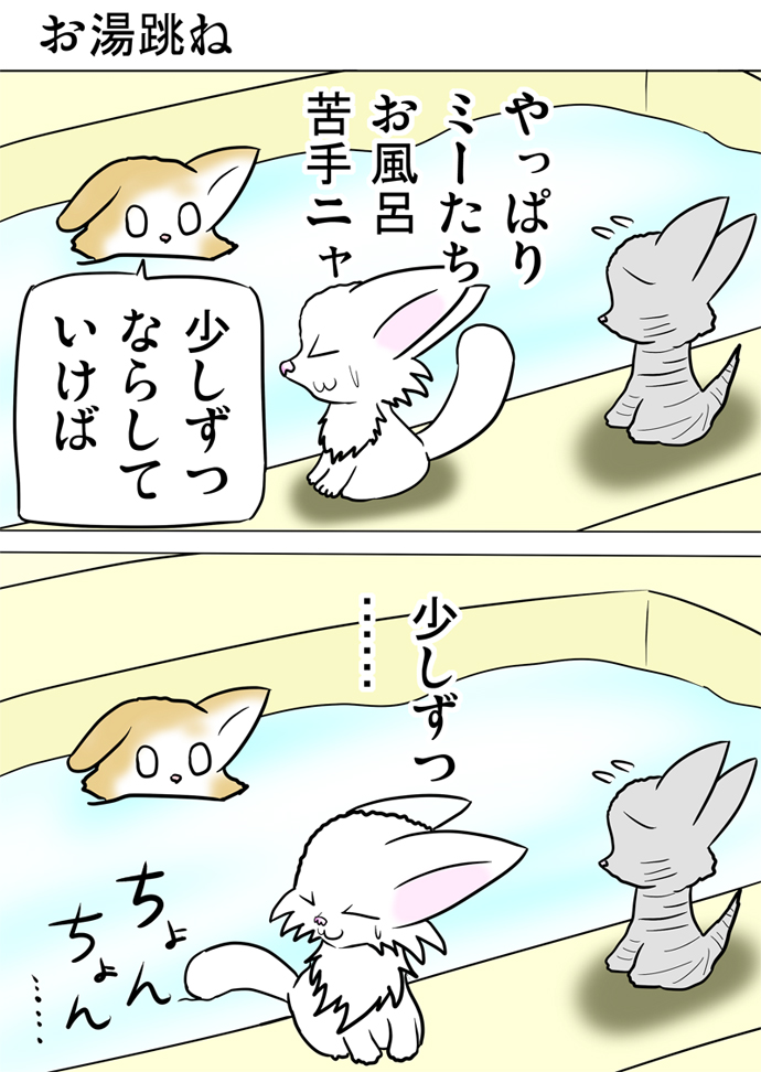 ミーのおもちゃ箱２８４話