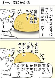 ミーのおもちゃ箱２９４話