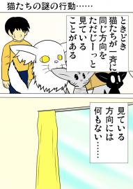 ミーのおもちゃ箱２９５話