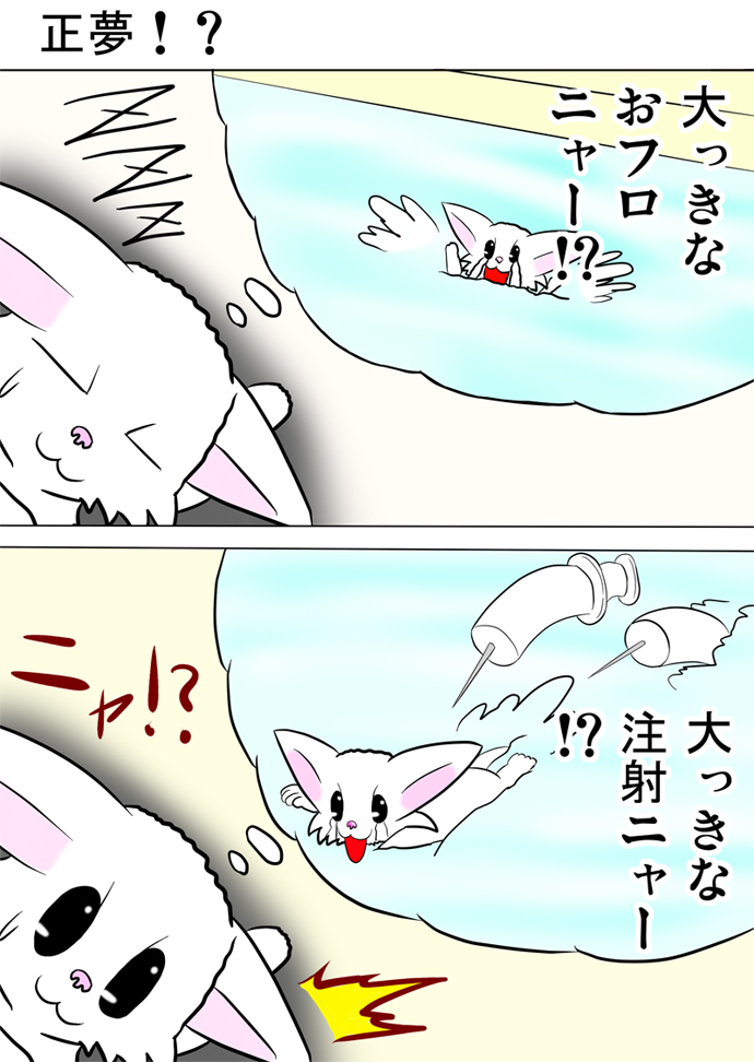 ミーのおもちゃ箱３０４話