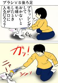 ミーのおもちゃ箱３０９話