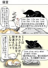 ミーのおもちゃ箱３１０話