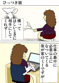 ミーのおもちゃ箱３１３話