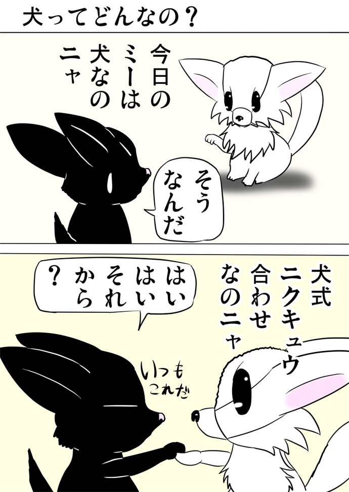 ミーのおもちゃ箱３２５話