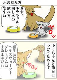 ミーのおもちゃ箱３４１話