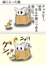 ミーのおもちゃ箱３４２話