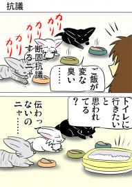 ミーのおもちゃ箱３５０話