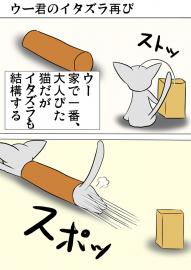 ミーのおもちゃ箱３５１話