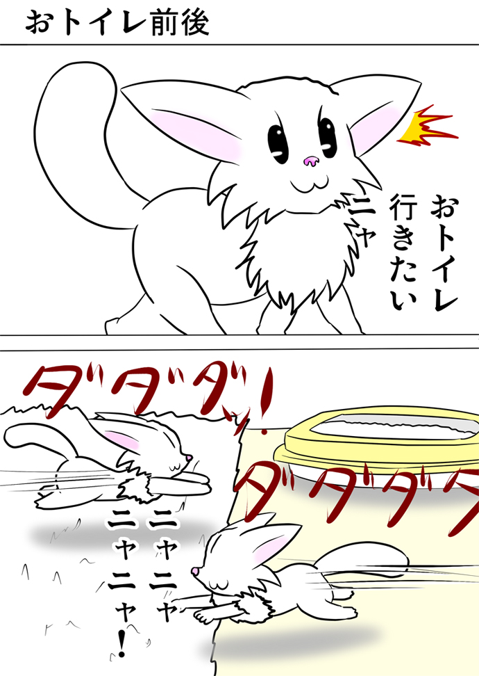 ミーのおもちゃ箱３５４話