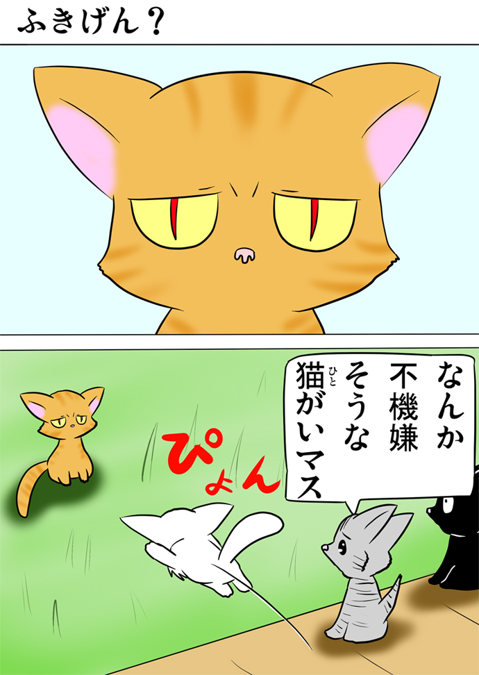 ミーのおもちゃ箱３５９話