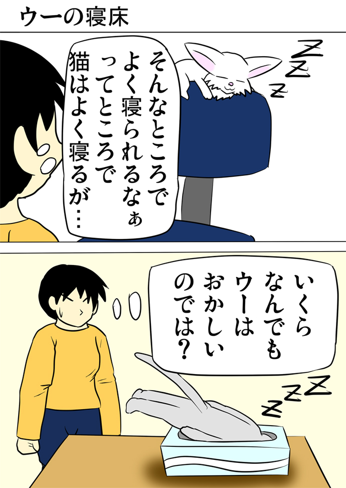 ミーのおもちゃ箱３６３話