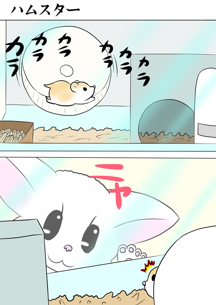 ミーのおもちゃ箱３７３話