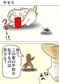 ミーのおもちゃ箱３７６話