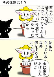 ミーのおもちゃ箱３８１話