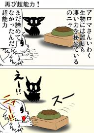 ミーのおもちゃ箱３８２話