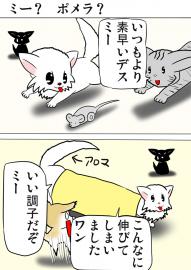 ミーのおもちゃ箱３９５話