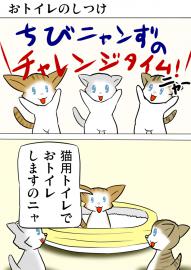 ミーのおもちゃ箱４０１話