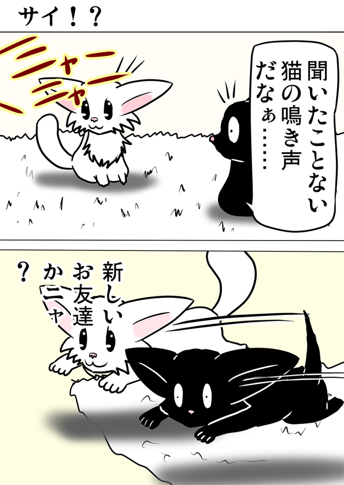 ミーのおもちゃ箱４１１話