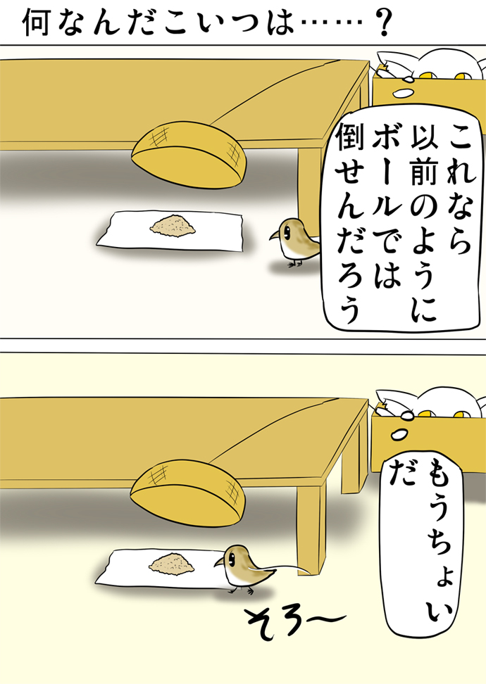 ミーのおもちゃ箱４１８話